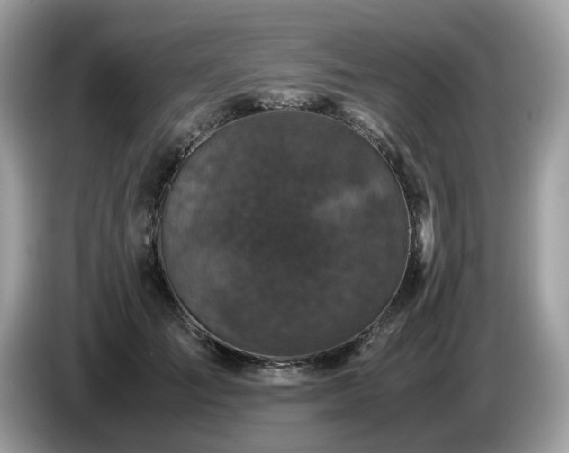 X0000087620701200704271359