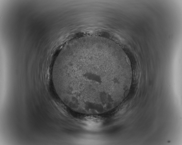 X0000087620703200704271359