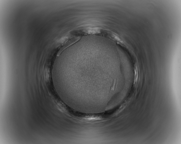X0000087620704200704271359