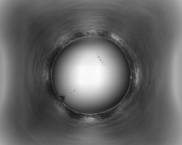 X0000087620706200704271359