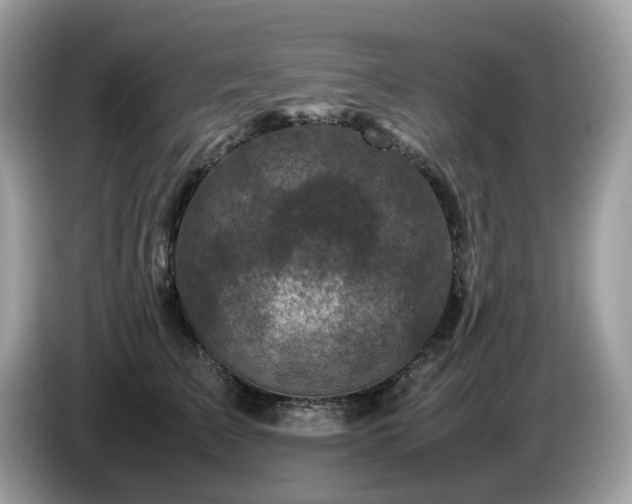 X0000087620709200704271359
