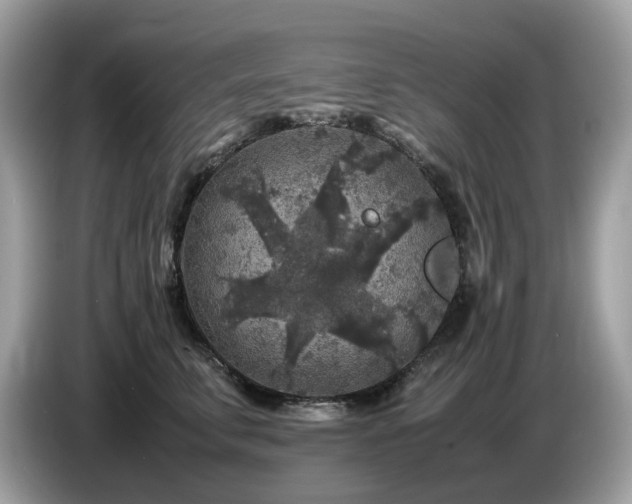 X0000087620711200704271359