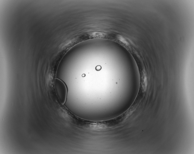 X0000087620714200704271358