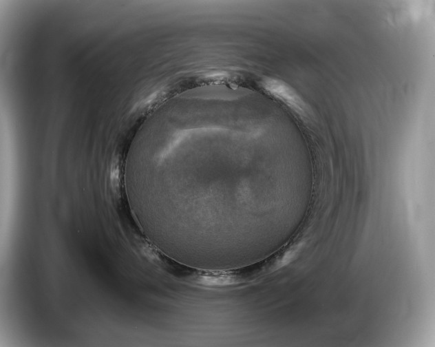 X0000087620720200704271358