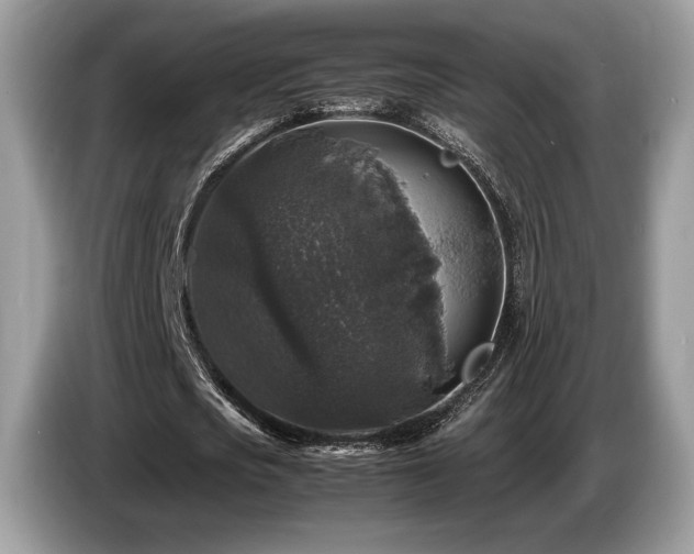 X0000087620721200704271358