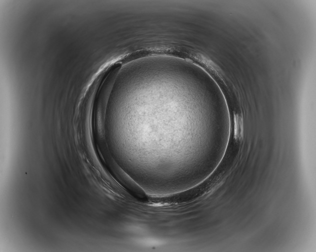X0000087620723200704271358
