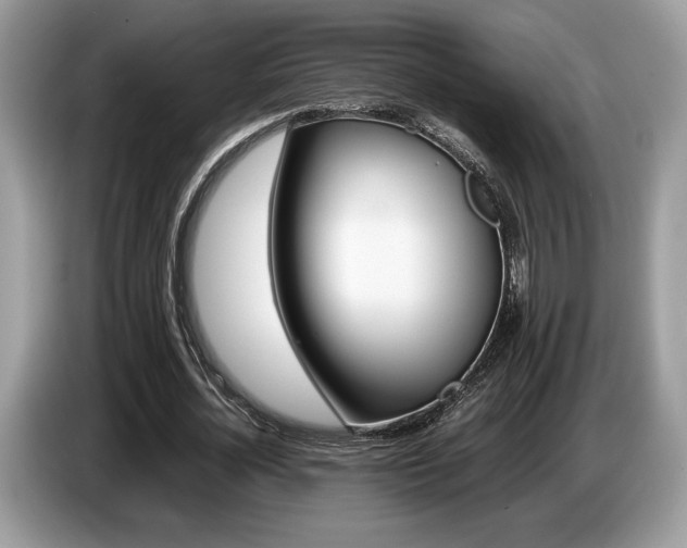 X0000087620724200704271358