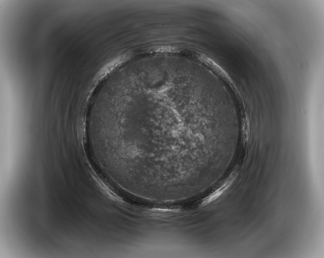 X0000087620725200704271358