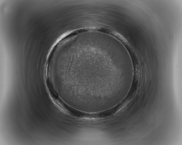 X0000087620726200704271358