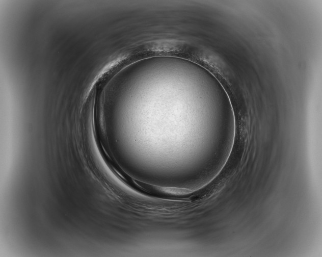X0000087620727200704271358