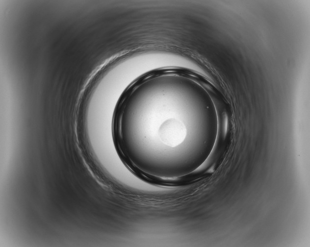 X0000087620728200704271358