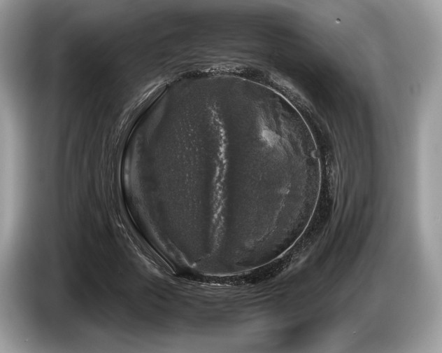 X0000087620729200704271358