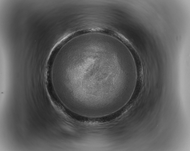 X0000087620730200704271358