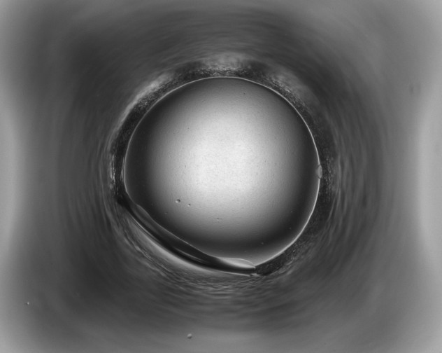 X0000087620731200704271358