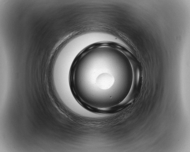 X0000087620732200704271358