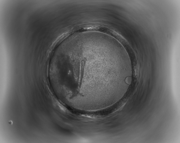 X0000087620733200704271358