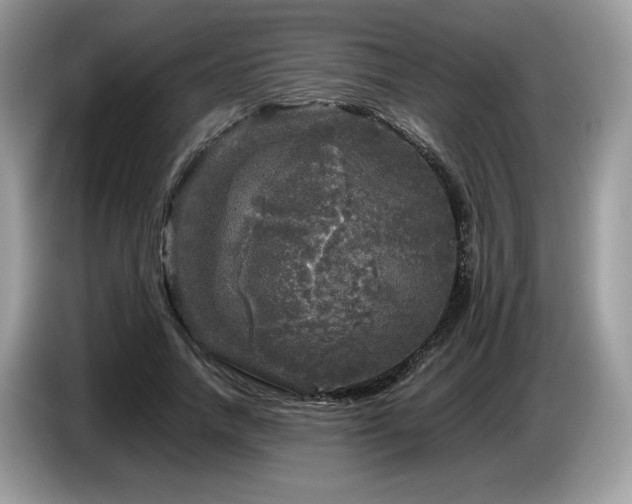 X0000087620738200704271358