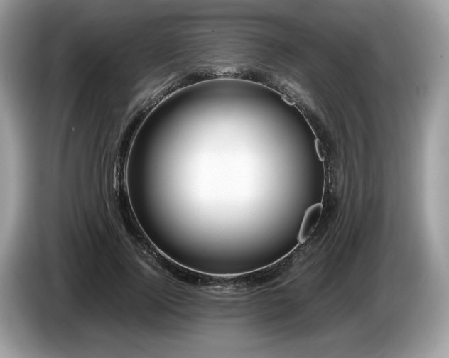 X0000087620740200704271358
