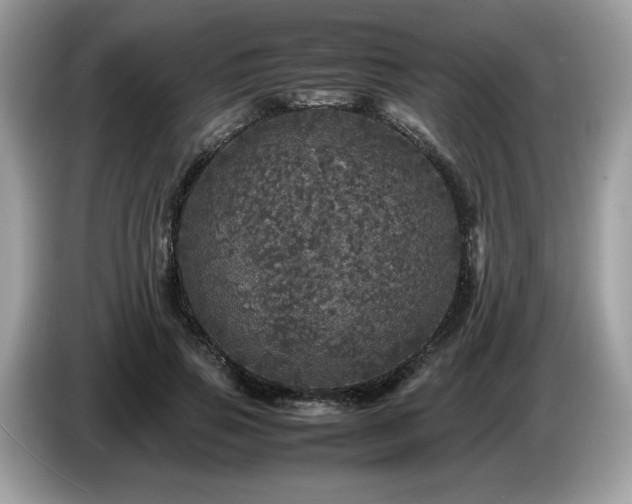 X0000087620741200704271358
