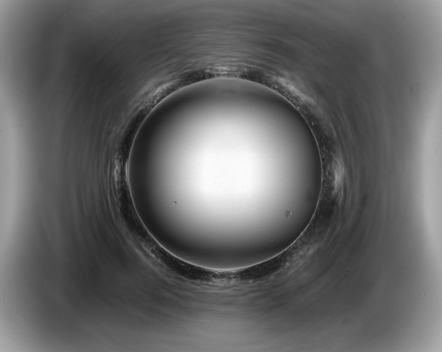 X0000087620744200704271358