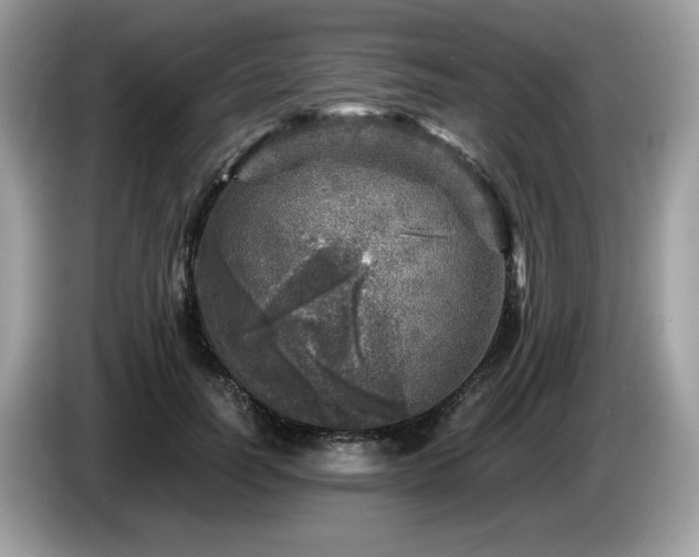 X0000087620746200704271358