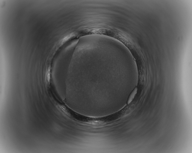 X0000087620748200704271358