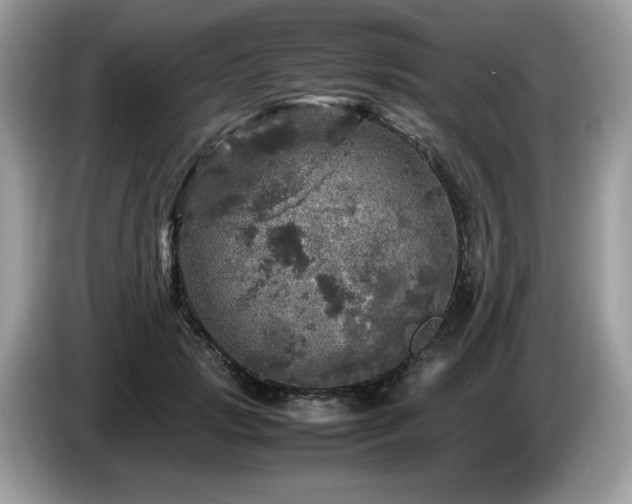 X0000087620749200704271358