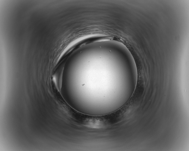 X0000087620751200704271358