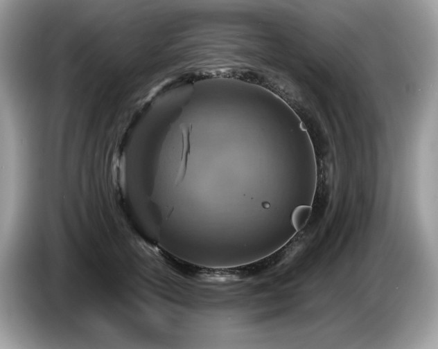 X0000087620754200704271358
