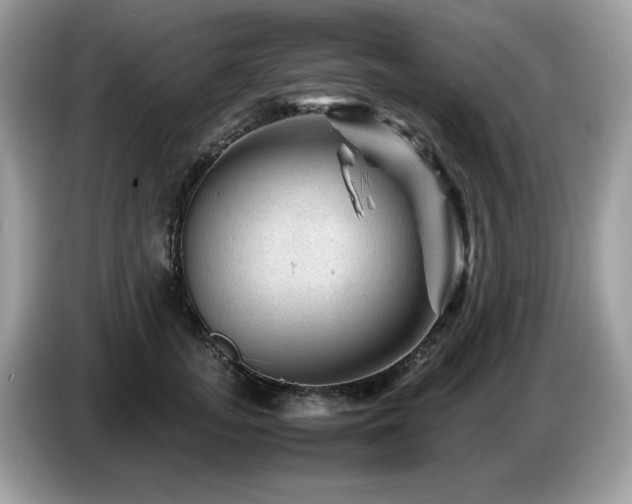 X0000087620755200704271358