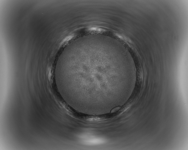 X0000087620759200704271358