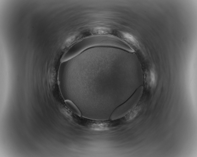 X0000087620760200704271358