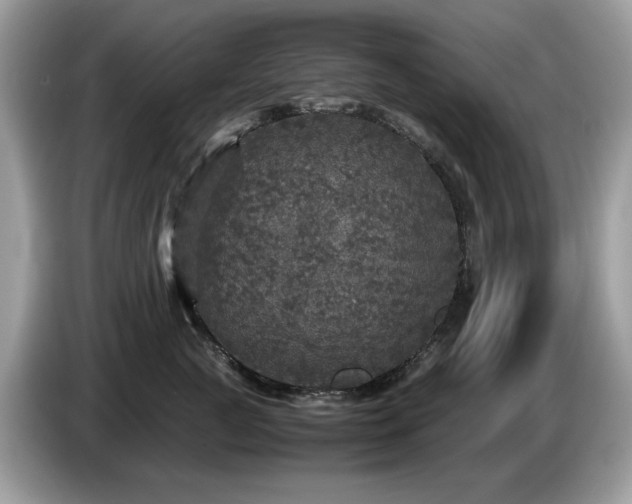 X0000087620761200704271358