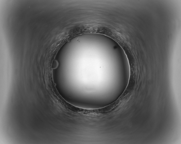 X0000087620769200704271358