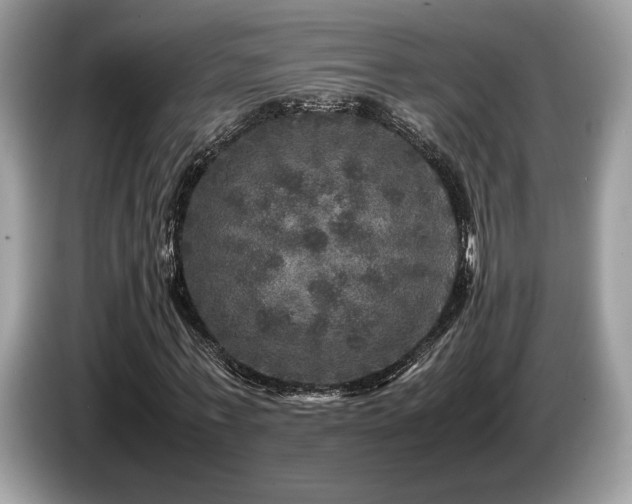 X0000087620771200704271358