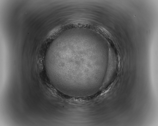 X0000087620774200704271358