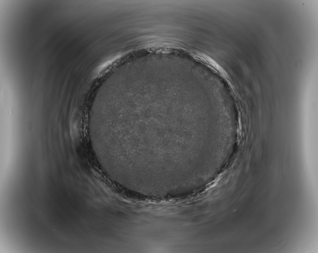 X0000087620775200704271358