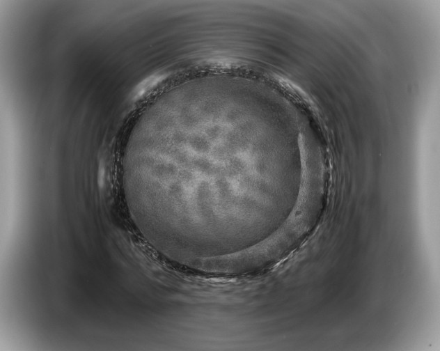 X0000087620776200704271358