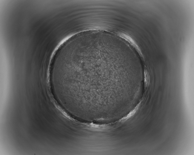 X0000087620780200704271358
