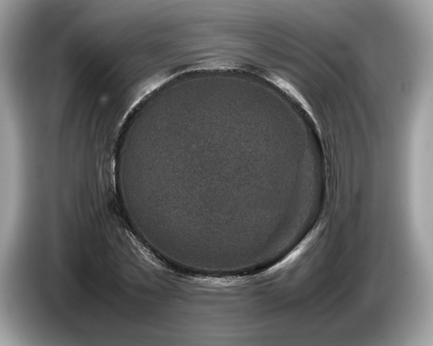 X0000087620781200704271358
