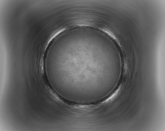 X0000087620782200704271358