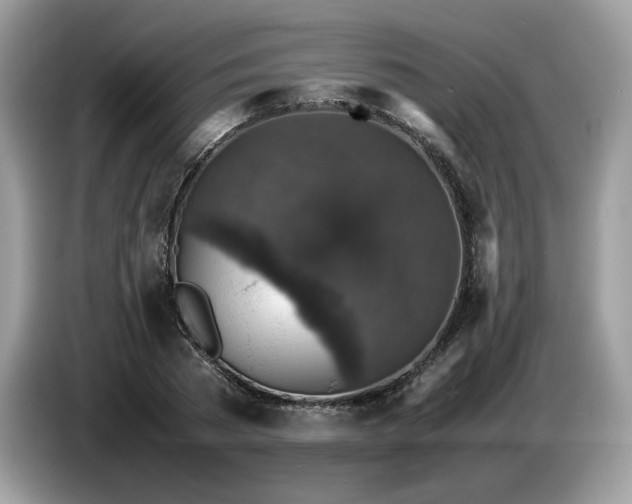 X0000087620785200704271357