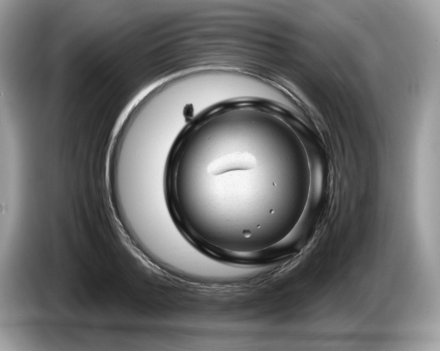 X0000087620788200704271357