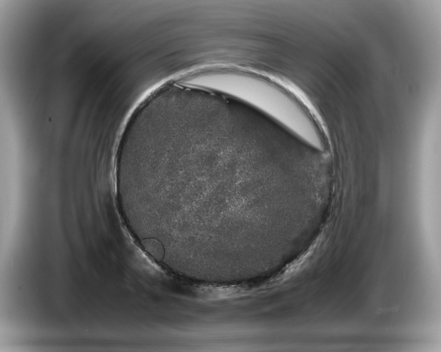 X0000087620791200704271357