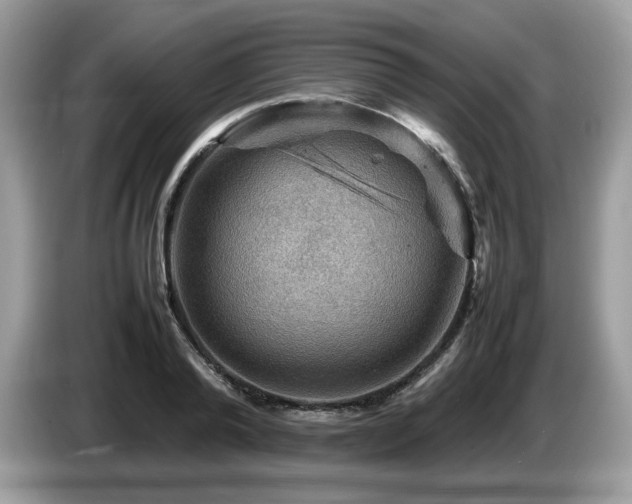 X0000087620792200704271357
