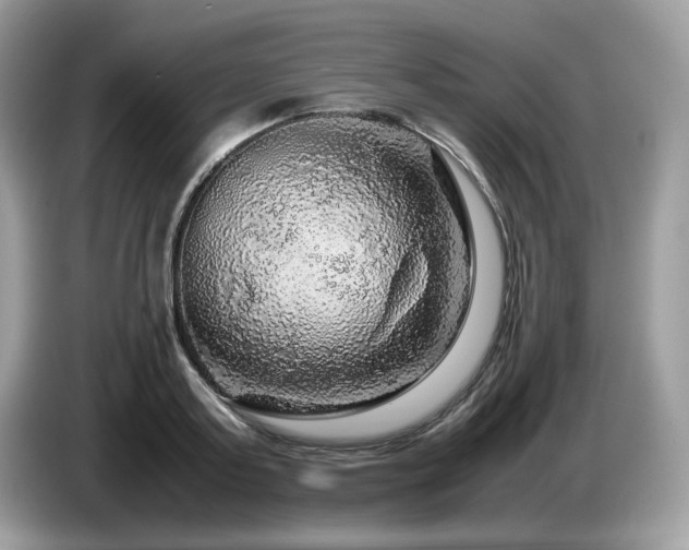 X0000087620795200704271357