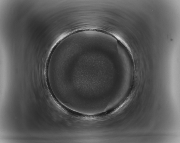 X0000087620797200704271357