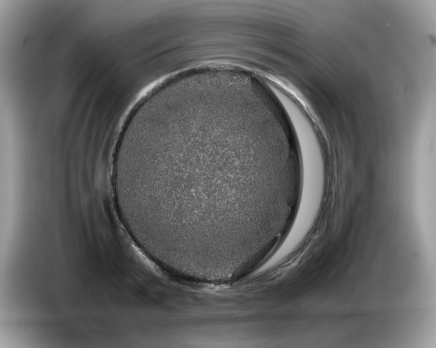 X0000087620799200704271357