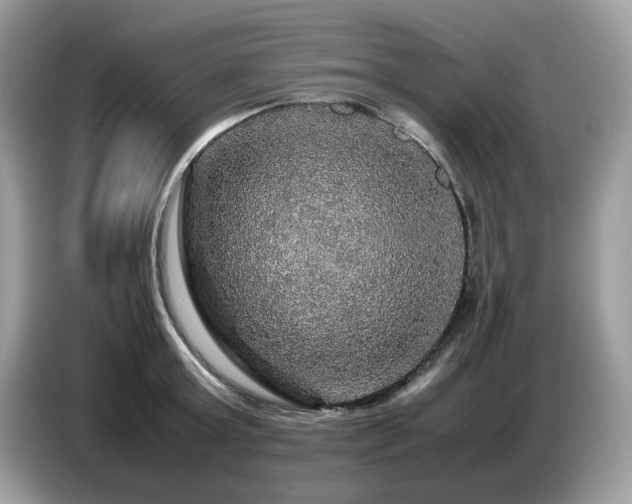 X0000087620803200704271357