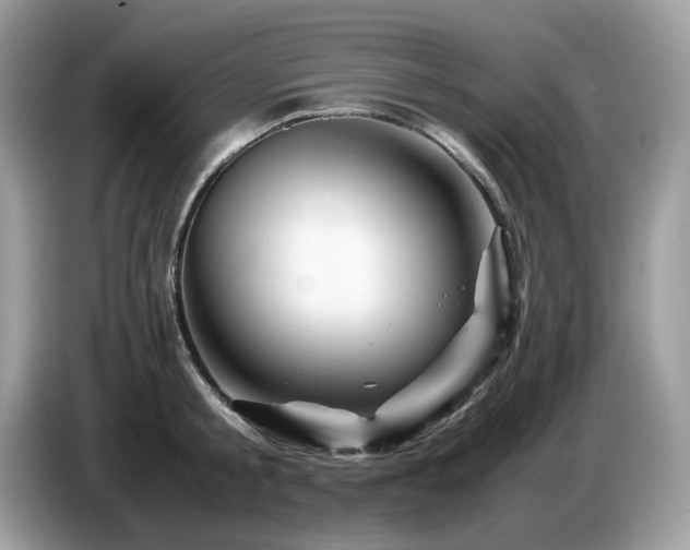 X0000087620805200704271357